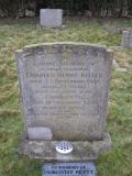 image of grave number 294756